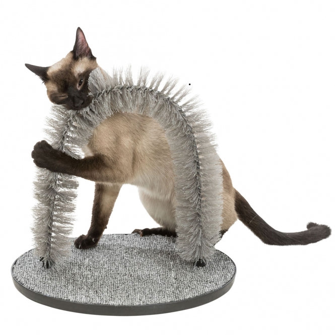 Chat profitant de l’arceau de massage Trixie pour se brosser