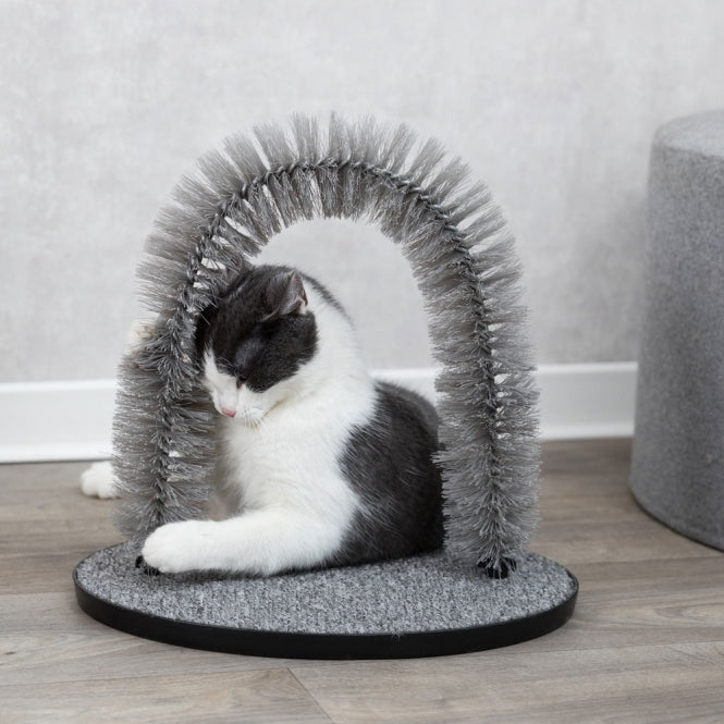 Chat se frottant à un arceau de massage pour éliminer les poils morts