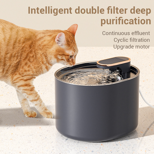 Chat roux buvant Ă  une fontaine Ă  eau automatique 3L noire avec filtration double