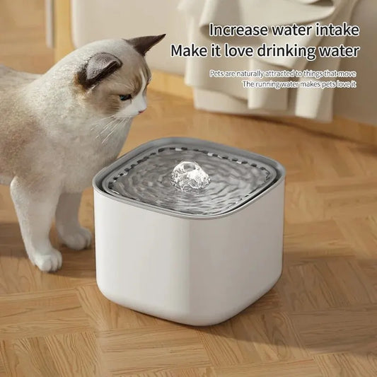 Chat buvant Ă  une fontaine Ă  eau automatique de 3L en plastique blanc, design moderne