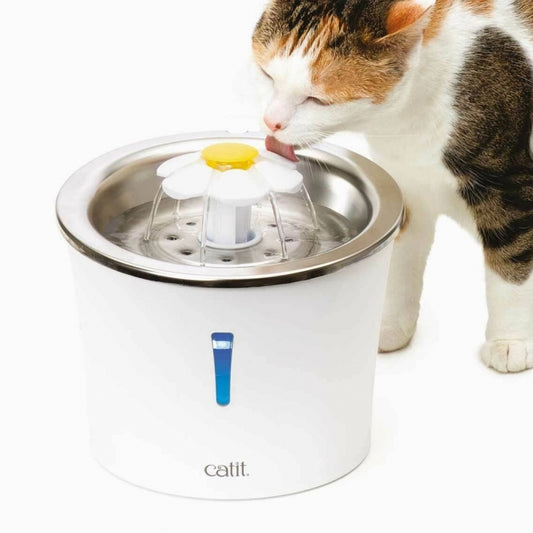 Chat qui boit à la fontaine Catit inox