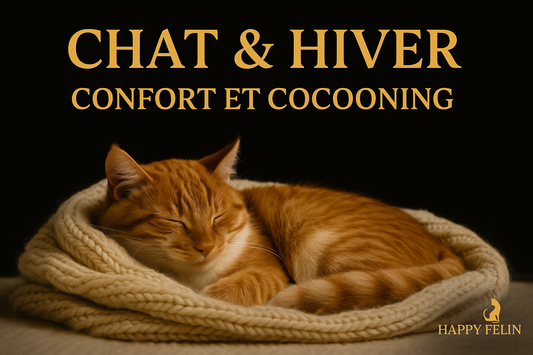 Chat & Hiver – Confort et Cocooning Happy Félin
