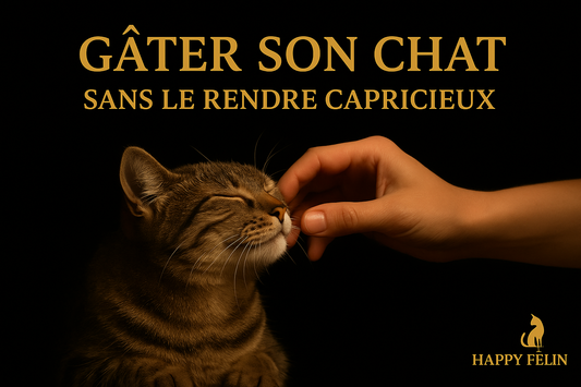 L’art de gâter son chat sans le rendre capricieux