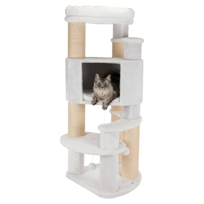 Arbre à chat Trixie Zita, blanc, avec un chat dans la niche, jouets suspendus et plates-formes rembourrées