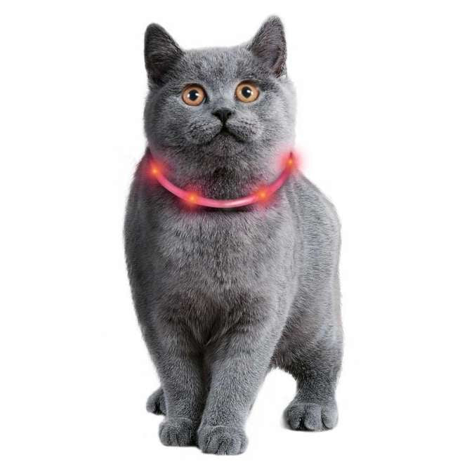 Collier lumineux pour chat Karlie, LED rechargeable USB, rouge, visible jusqu’à 500 m, modes clignotant et continu