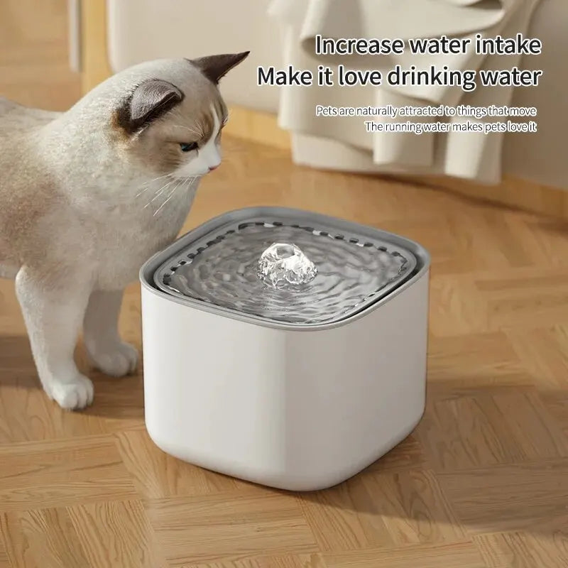 Chat buvant à une fontaine à eau automatique de 3L en plastique blanc, design moderne