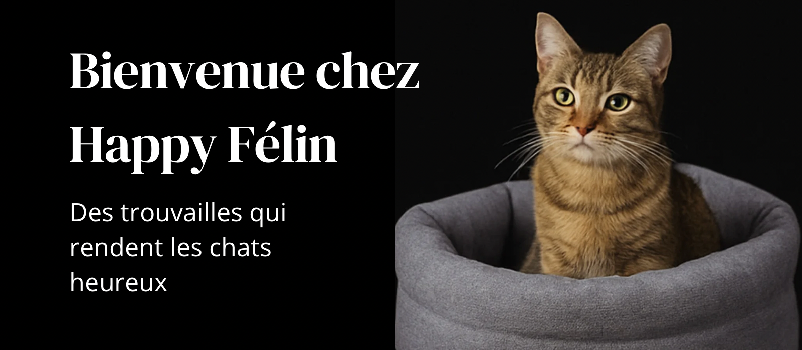 Des trouvailles qui rendent les chats heureux