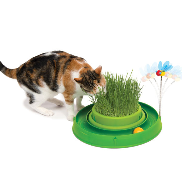 Chat jouant avec l’herbe à chat sur le jouet CATIT Play-n-Scratch