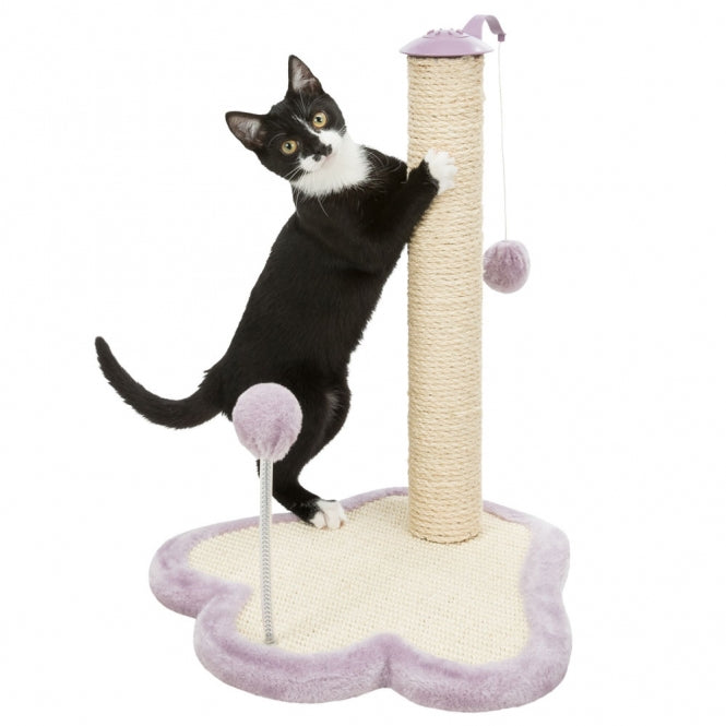 Chaton jouant sur l’arbre à chat Trixie Junior avec griffoir sisal et balle suspendue