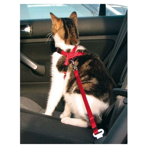 Ceinture de sécurité Trixie pour chats, harnais réglable rouge avec attache voiture