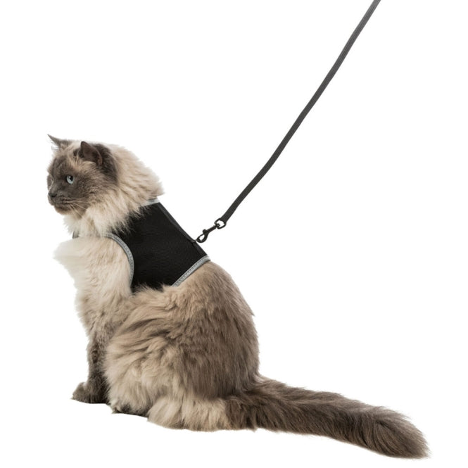 Chat portant un harnais Soft Trixie XL noir avec laisse élastique, confortable et réglable également en position assise 